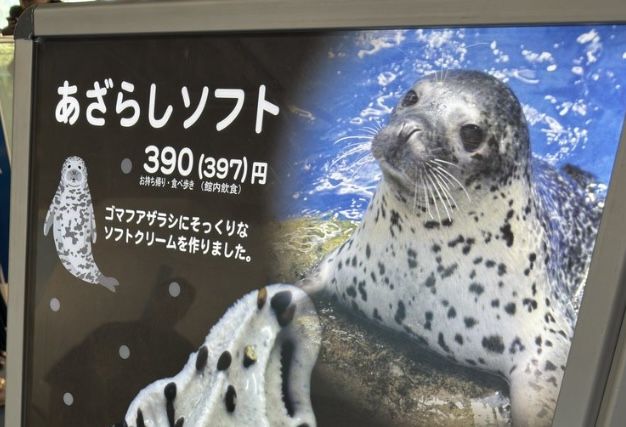 ▲▼新江之島水族館,海豹霜淇淋。（圖／取自網路）