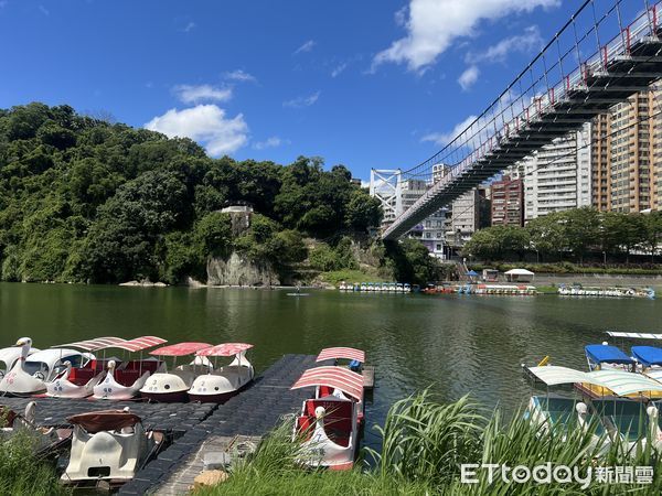 ▲▼林女在碧潭東岸落水，民眾發現救起，送往醫院急救搶回一命。（圖／記者陸運陞翻攝）