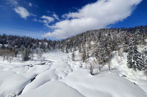 ▲▼海道大雪山旭岳、冬天雪地健行與大雪山旭岳纜車一日遊。（圖／部落客cj夫人提供）