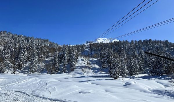 ▲▼海道大雪山旭岳、冬天雪地健行與大雪山旭岳纜車一日遊。（圖／部落客cj夫人提供）