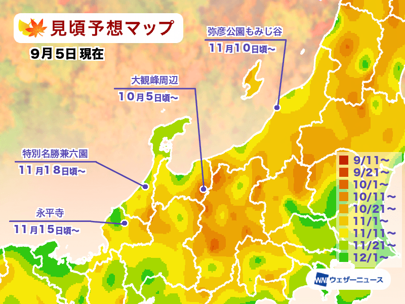 ▲▼2024日本賞楓預測。（圖／翻攝自Weather News）