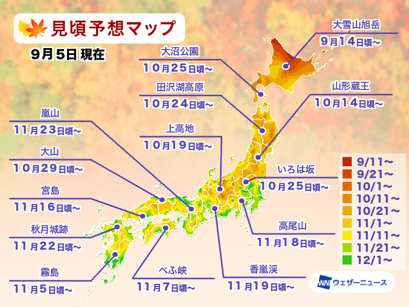 ▲▼2024日本賞楓預測。（圖／翻攝自Weather News）