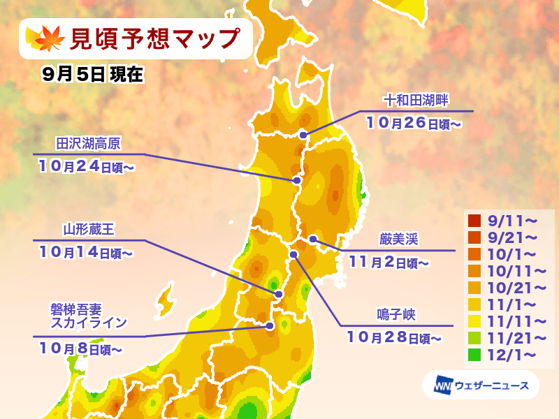 ▲▼2024日本賞楓預測。（圖／翻攝自Weather News）