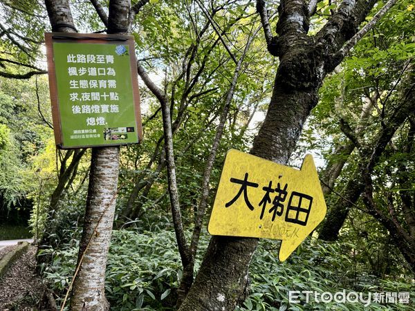 ▲竹子湖「青楓步道」。（圖／記者彭懷玉攝）