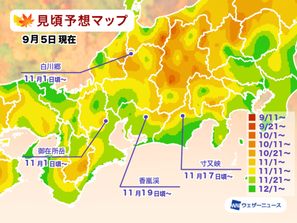 ▲▼2024日本賞楓預測。（圖／翻攝自Weather News）