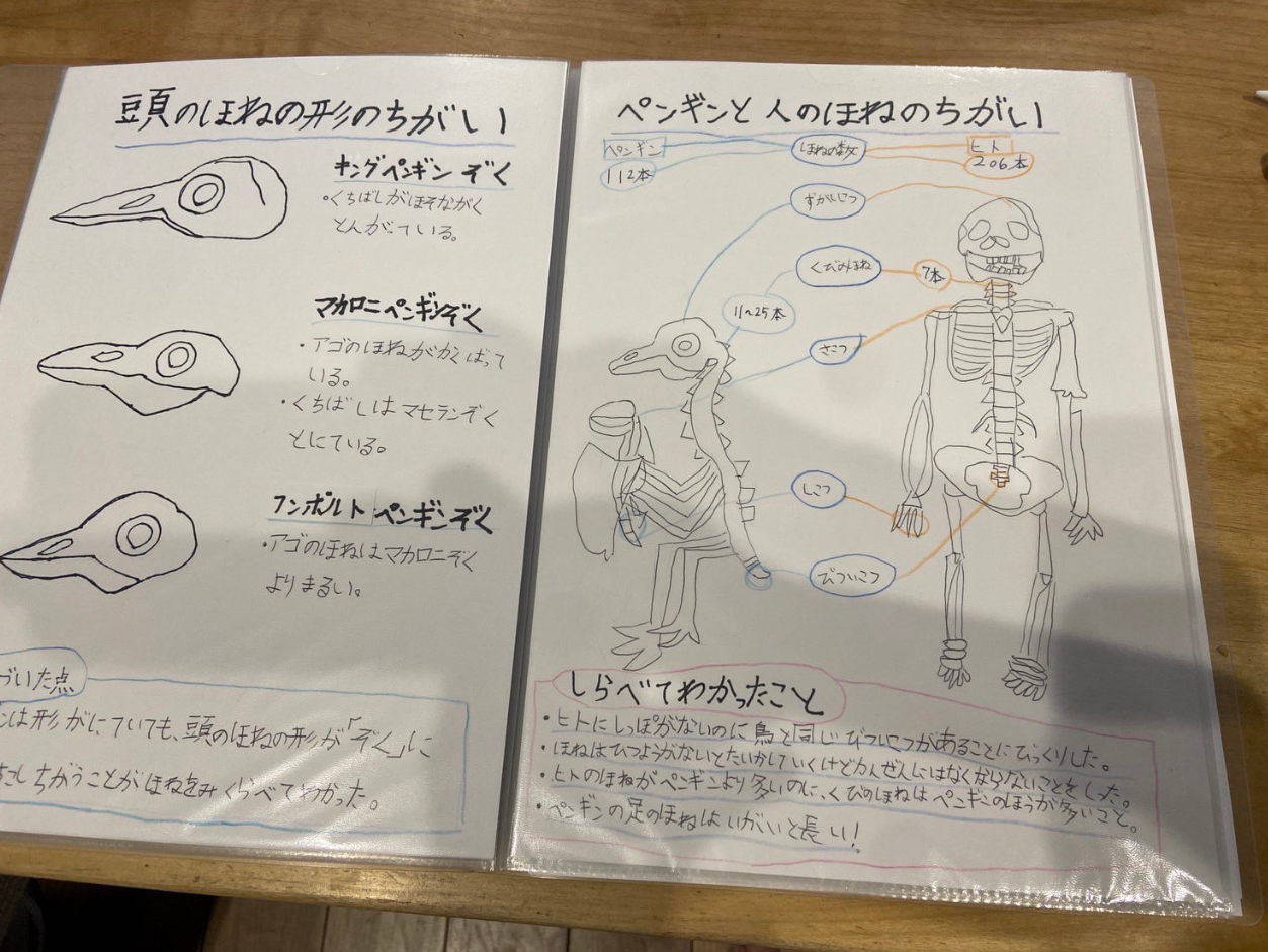 ▲▼「玩黏土」做出企鵝骨骼標本！日小2女童暑假作業　狂吸百萬人朝聖。（圖／翻攝X@funfan2nd）