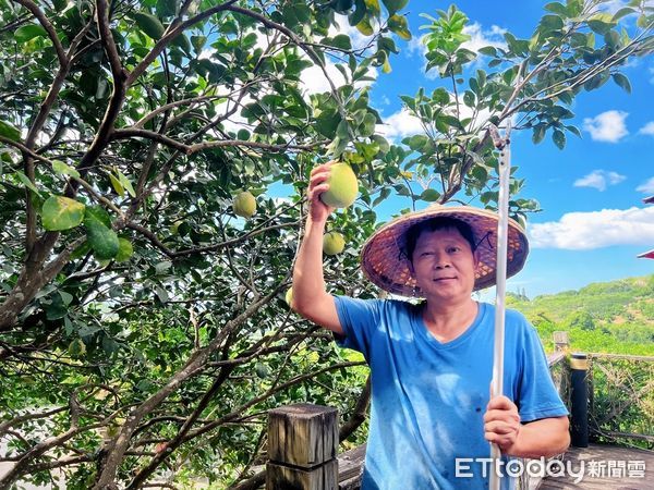 ▲▼  十三行博物館攜手飯店推「八里文化寶藏午茶組」           。（圖／十三行博物館提供）