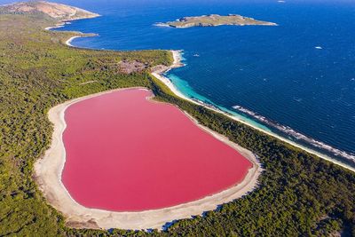 台灣旅客出國破800萬人　最夯8地點曝