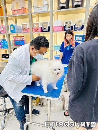 ▲「品種犬認養」就在9／21！東森寵物攜手多方力量　助浪浪找到家（圖／東森寵物提供）