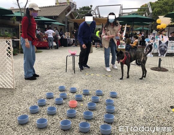  ▲「品種犬認養」就在9／21！東森寵物攜手多方力量　助浪浪找到家（圖／東森寵物提供）