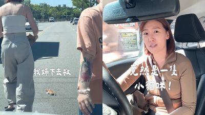 驚見小貓在路中央！李懿「衝下車急救援」　連跑3地幫找到溫暖新家