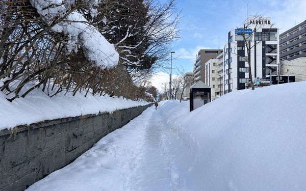 ▲▼札幌咖啡的老派情調！北海道大學旁的咖啡甜點店 石田珈琲店 Ishida Coffee。（圖／部落客cj夫人提供）