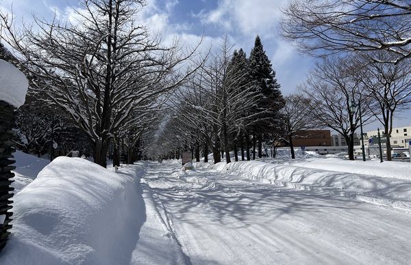 ▲▼札幌咖啡的老派情調！北海道大學旁的咖啡甜點店 石田珈琲店 Ishida Coffee。（圖／部落客cj夫人提供）