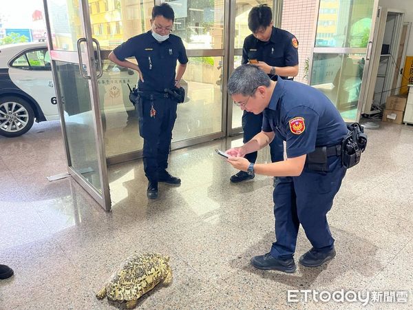 ▲恆春警分局建民派出所警員萬耀忠、陳奕安助象龜平安回到飼主懷抱            。（圖／記者陳崑福翻攝）