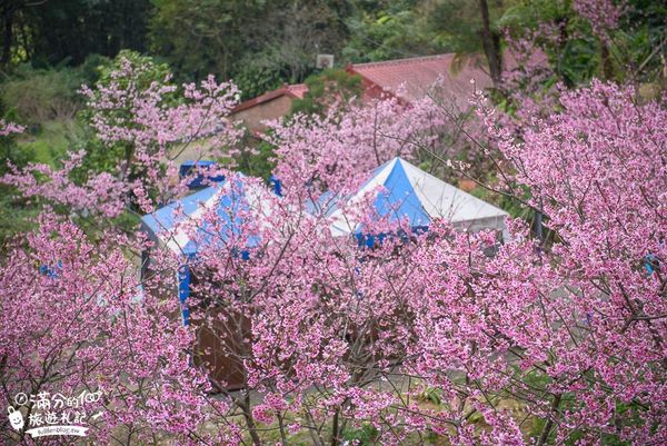 ▲▼2024三峽景點一日遊，TOP10三峽景點推薦，老街、大板根森林、逛茶園泡美人湯順遊攻略。（圖／滿分提供）