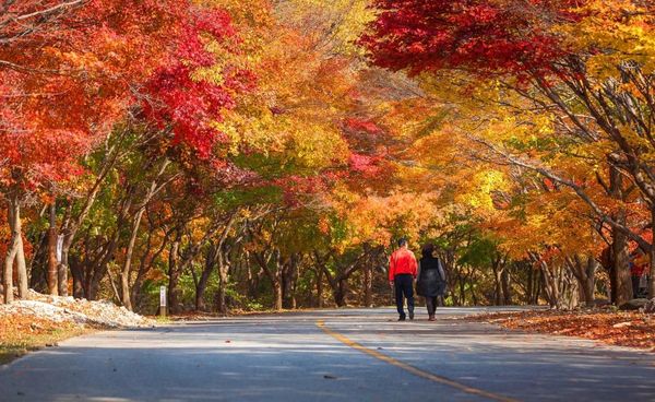 ▲▼韓國賞楓內藏山。（圖／KKday提供）