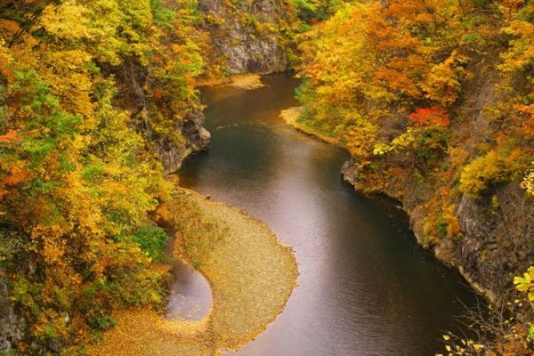 ▲▼日本賞楓定山溪。（圖／KKday提供）