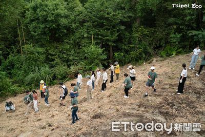 百名員工「親手栽種200珠植物」綠化環境　營造野生動物綠色廊道