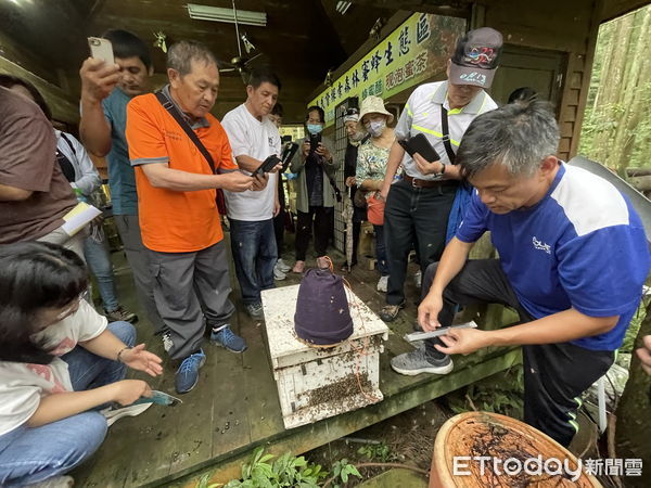 ▲仁愛鄉賽德克族人前往新竹縣關西鎮，實地了解臺灣野蜂的飼養及銷售管道。（圖／記者高堂堯翻攝）