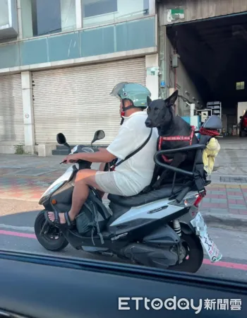 ▲開車驚見「阿伯載小一新生」眼神無助哀怨　照片笑千人：都曬黑了（圖／網友張先生提供，請勿隨意翻拍，以免侵權。）