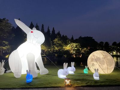 夜晚看玉兔賞月　「台版兼六園」漫步落羽松超浪漫　