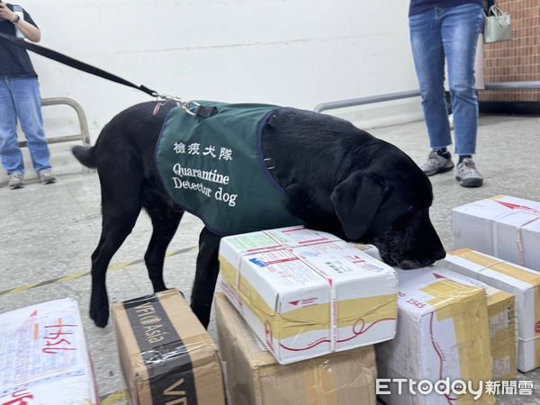 ▲中秋前夕，移民署南區事務大隊台南市第一服務站與台南市動物防疫保護處合作辦理新住民多元文化活動。（圖／記者林東良翻攝，下同）