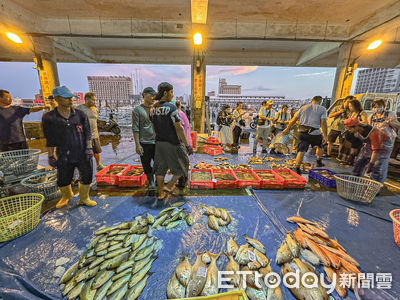 走進澎湖魚市場　看「無聲漁獲拍賣」