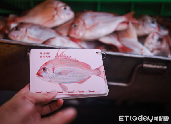 ▲▼澎湖第三漁港澎湖魚市場。（圖／記者蔡玟君攝）