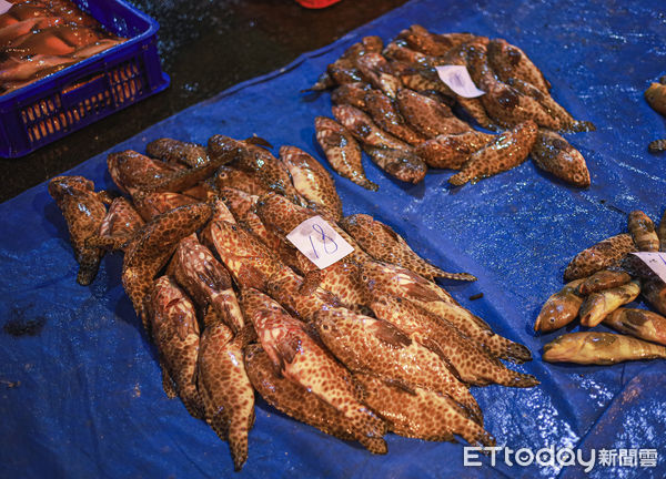 ▲▼澎湖第三漁港澎湖魚市場，漁獲。（圖／記者蔡玟君攝）