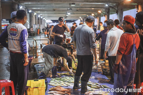 ▲▼澎湖第三漁港澎湖魚市場，漁獲拍賣，澎湖漁民。（圖／記者蔡玟君攝）