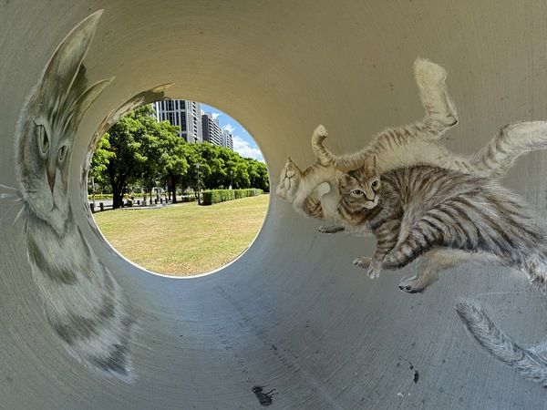 ▲中秋何處去，來桃園八德享受豐富自然景觀 