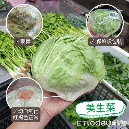 ▲中秋烤肉必備的美生菜每斤漲至150元，專家提醒選購關鍵。（圖／廖炯程提供）