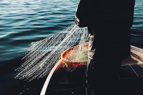 ▲▼釣魚,捕魚,漁夫。（圖／Unsplash）