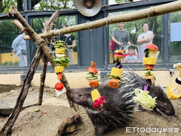 ▲▼中秋最萌烤肉趴！壽山動物園嗨開「野營派對」，量身打造特製大餐。（圖／記者賴文萱翻攝）