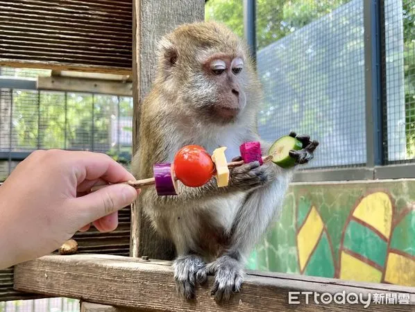 ▲▼中秋最萌烤肉趴！壽山動物園嗨開「野營派對」，量身打造特製大餐。（圖／記者賴文萱翻攝）