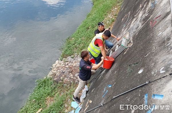 ▲桃園市某團饍業者私設管線將油污廢逕自挑排放南崁溪中，稽查人員攀爬取證。（圖／桃園市政府環保局，下同）