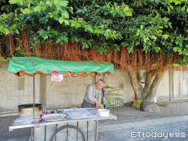 人行道改建！2棵大榕樹移校內　飄香60年彰化「火雲掌伯」搬家了