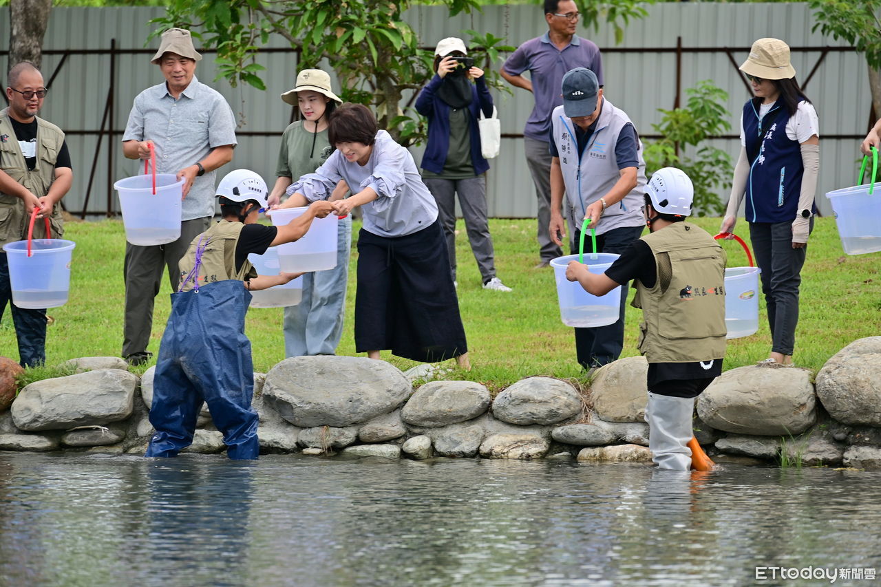 台東森林公園新風貌　重啟生態平衡之美