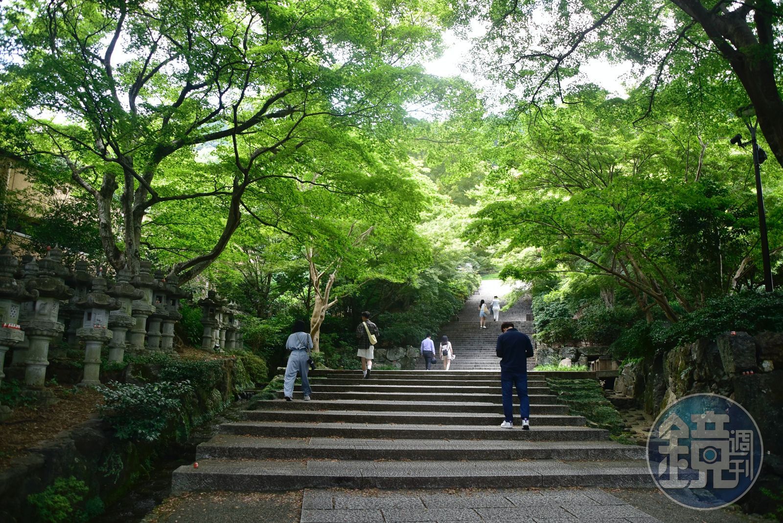 勝尾寺位於近郊園區面積廣達8萬坪，四季皆美，每逢秋季會開放夜間入園賞楓。