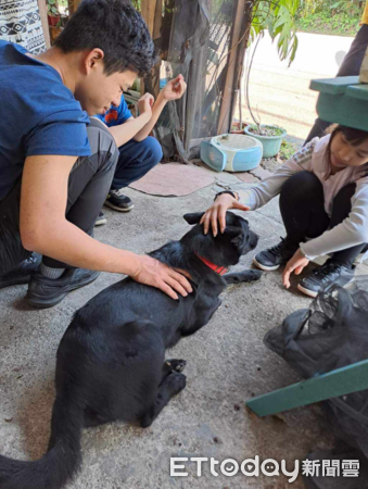 ▲菜苗種好！黑狗跳進「狂挖燦笑」　飼主傻眼：養到務農犬該哭該笑（圖／網友Anita Chen提供，請勿隨意翻拍，以免侵權。）