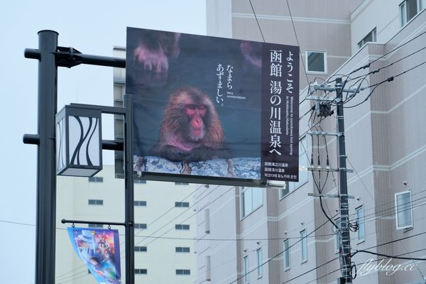 ▲▼北海道函館市熱帶植物園，冬天欣賞彌猴泡溫泉秀，交通方式及門票費用介紹。（圖／飛天璇提供）