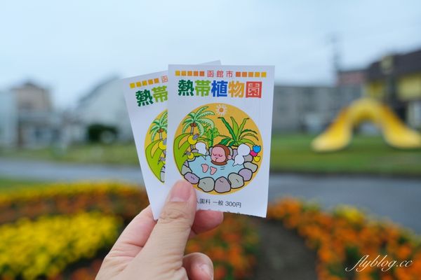 ▲▼北海道函館市熱帶植物園，冬天欣賞彌猴泡溫泉秀，交通方式及門票費用介紹。（圖／飛天璇提供）