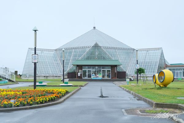 ▲▼北海道函館市熱帶植物園，冬天欣賞彌猴泡溫泉秀，交通方式及門票費用介紹。（圖／飛天璇提供）