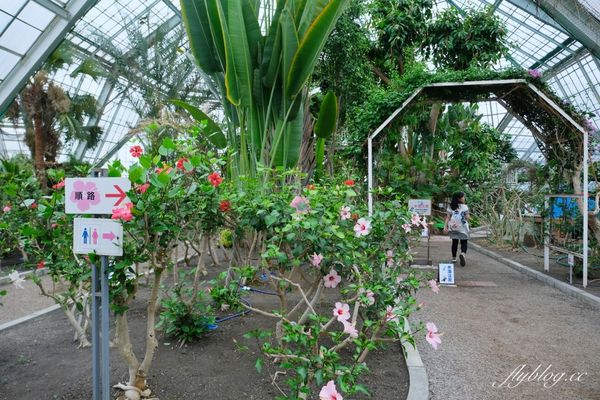 ▲▼北海道函館市熱帶植物園，冬天欣賞彌猴泡溫泉秀，交通方式及門票費用介紹。（圖／飛天璇提供）