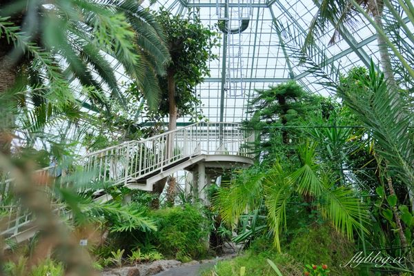 ▲▼北海道函館市熱帶植物園，冬天欣賞彌猴泡溫泉秀，交通方式及門票費用介紹。（圖／飛天璇提供）