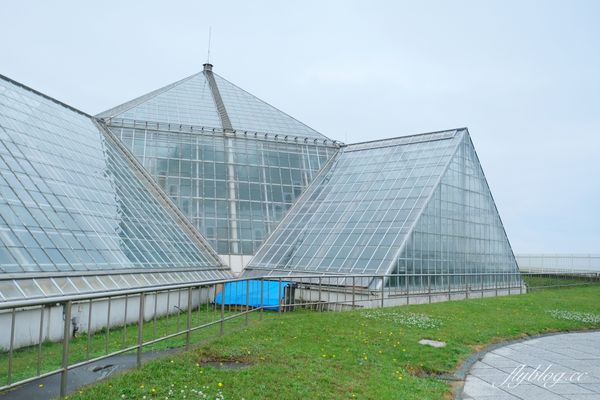 ▲▼北海道函館市熱帶植物園，冬天欣賞彌猴泡溫泉秀，交通方式及門票費用介紹。（圖／飛天璇提供）