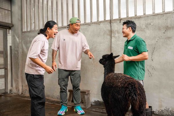 ▲前進動物園清理河馬便便左起姚元浩、郭泓志、林哲熹、乱彈阿翔。（圖／好看娛樂）