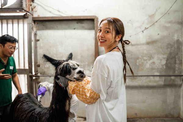 ▲前進動物園清理河馬便便左起姚元浩、郭泓志、林哲熹、乱彈阿翔。（圖／好看娛樂）