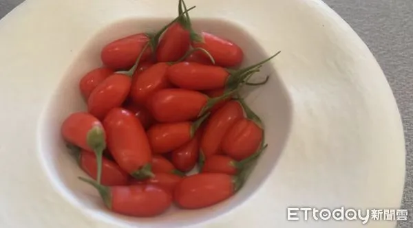 ▲▼ 寧夏、枸杞商機、千億            。（圖／記者任以芳攝）