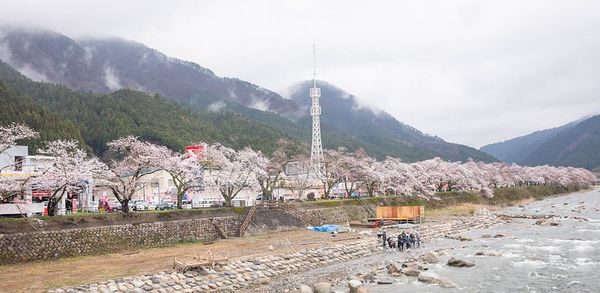 ▲▼日本鳥取智頭紅葉，智頭町紅葉名所因幡古街，700年諏訪神社、日本最美麗的村莊聯盟成員之一             。（圖／小虎提供）